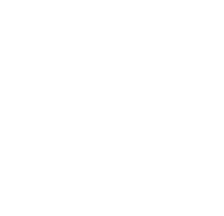 Logo der Firma Sprintus